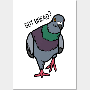 Funny Pigeon Posters and Art